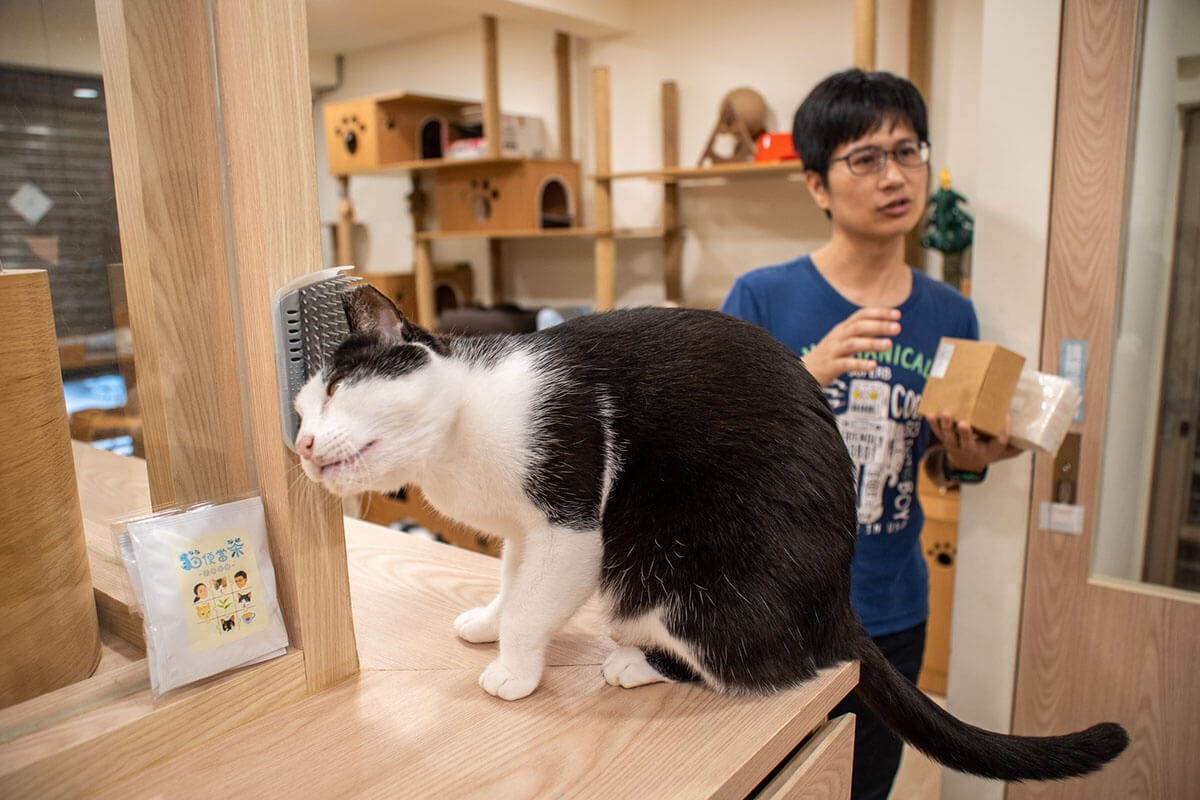 拼圖喵的創辦人陳人祥希望透過喵喵米和貓便當茶，讓更多人看見中途之家的價值。
