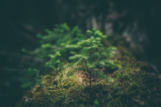 英國篇／雲端病歷 「患者至上」健康紀錄帶著走