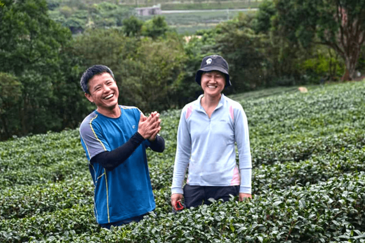 有機茶王的心與願～宜蘭「薪寬茶園」李訓義