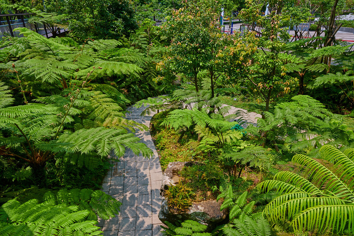 「三重世貿公園」是全台唯一一座戶外蕨類生態公園。圖／中國信託銀行提供
