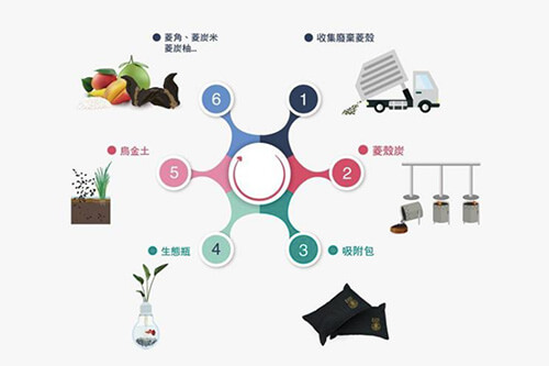 廢棄物變烏金，官田用廢棄菱角殼再創商機